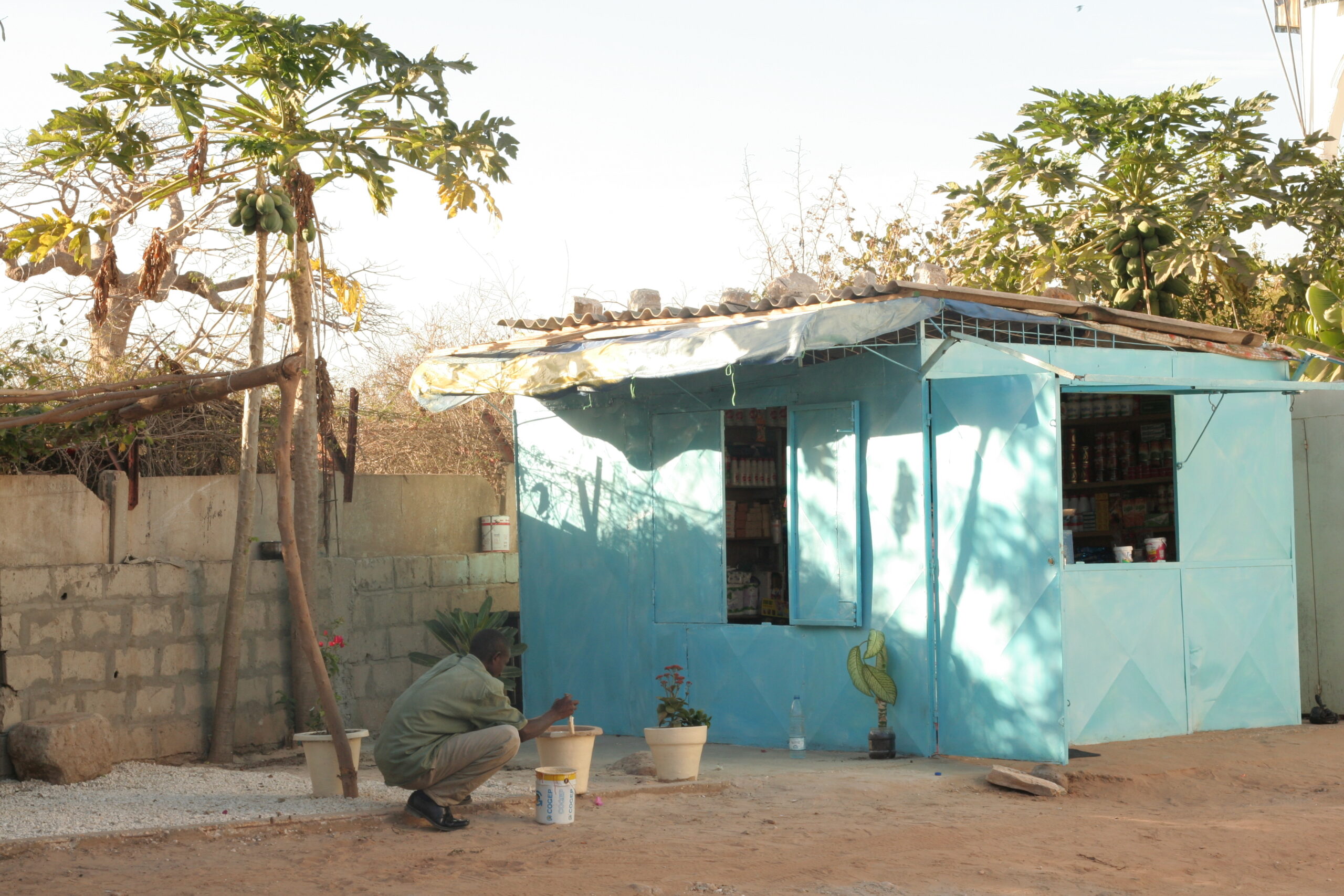 Naow squatting by a pot in front of a turquoise building. 