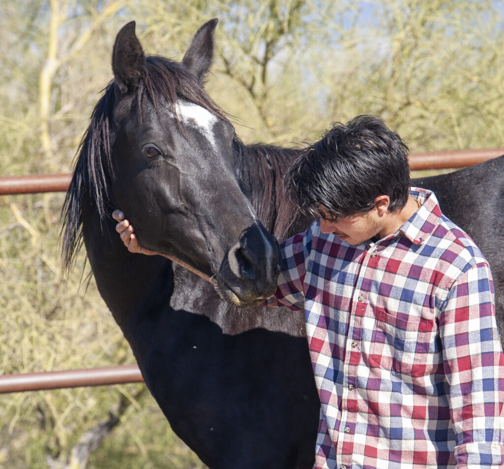 Man in plaid shirt with horse