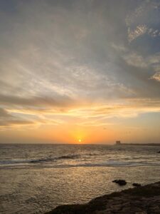 GalleFort