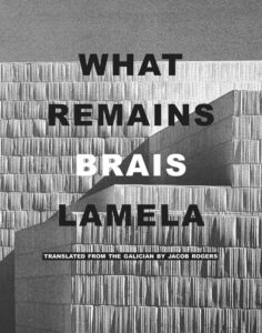 Book cover of What Remains by Brais Lamela