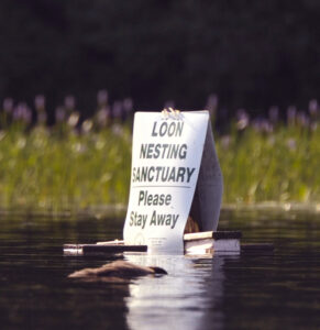 Loon nesting sign