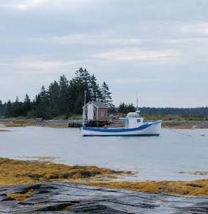 Newfoundland
